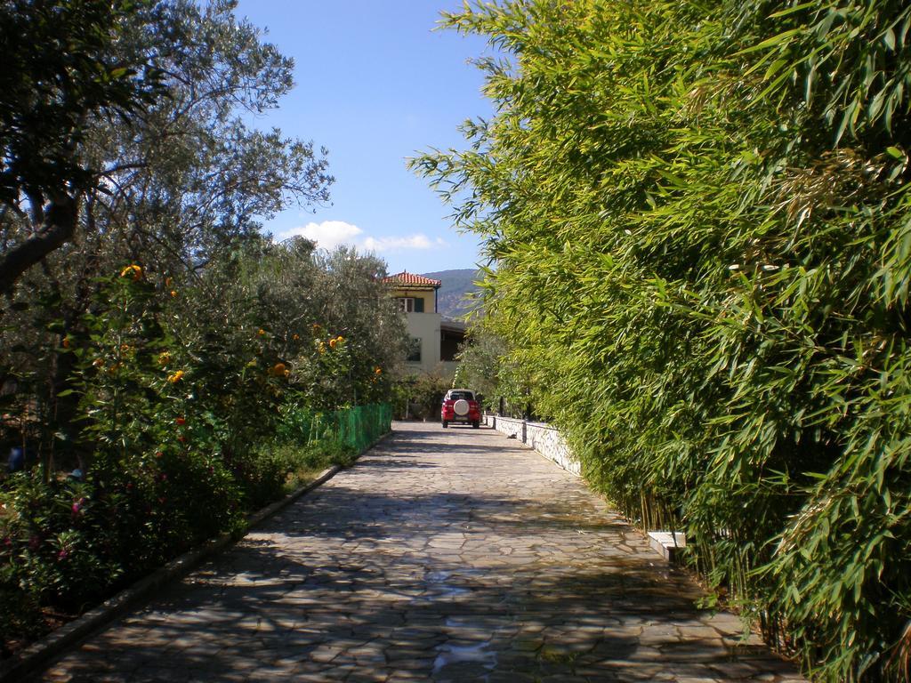 Vasiliki Studios Petra  Exterior foto