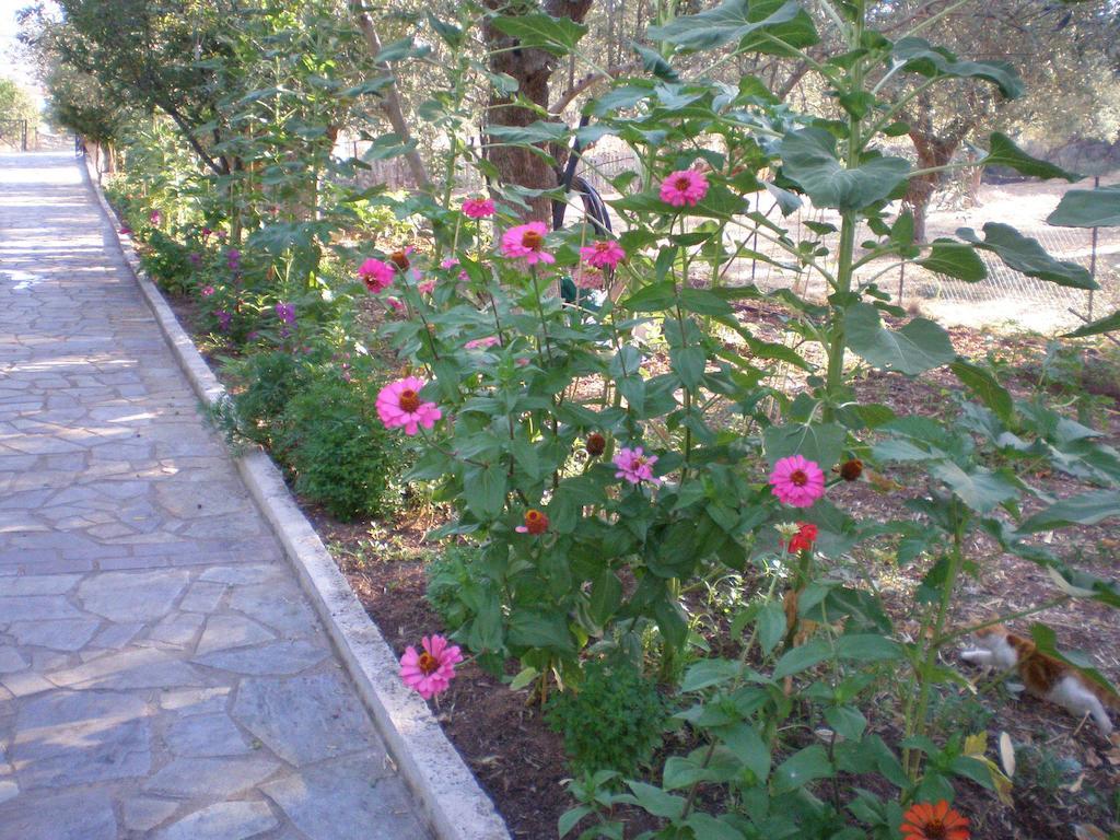Vasiliki Studios Petra  Exterior foto