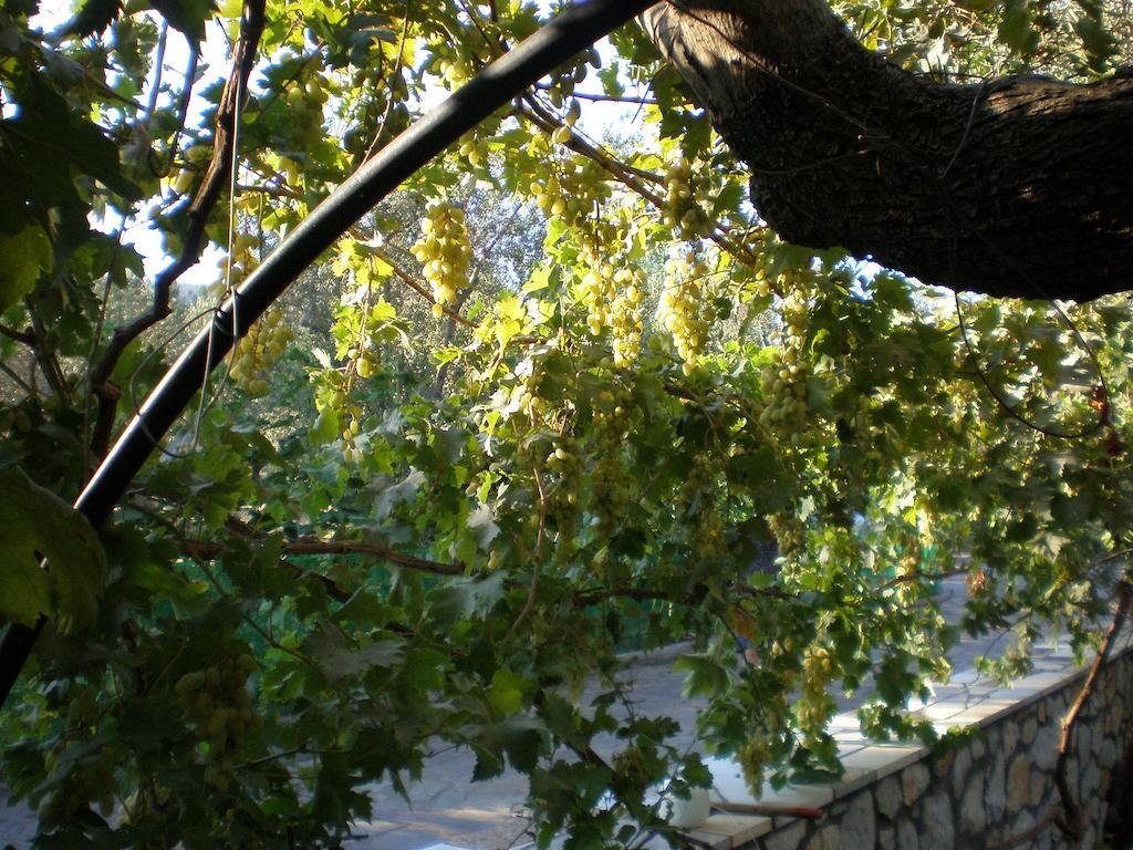 Vasiliki Studios Petra  Exterior foto