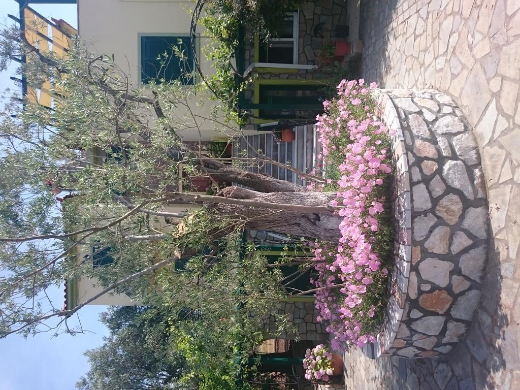 Vasiliki Studios Petra  Exterior foto